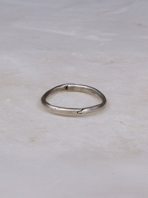 【New 】Pronoia（プロノイア） 4 Silver