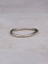 【New 】Pronoia（プロノイア） 4 Silver