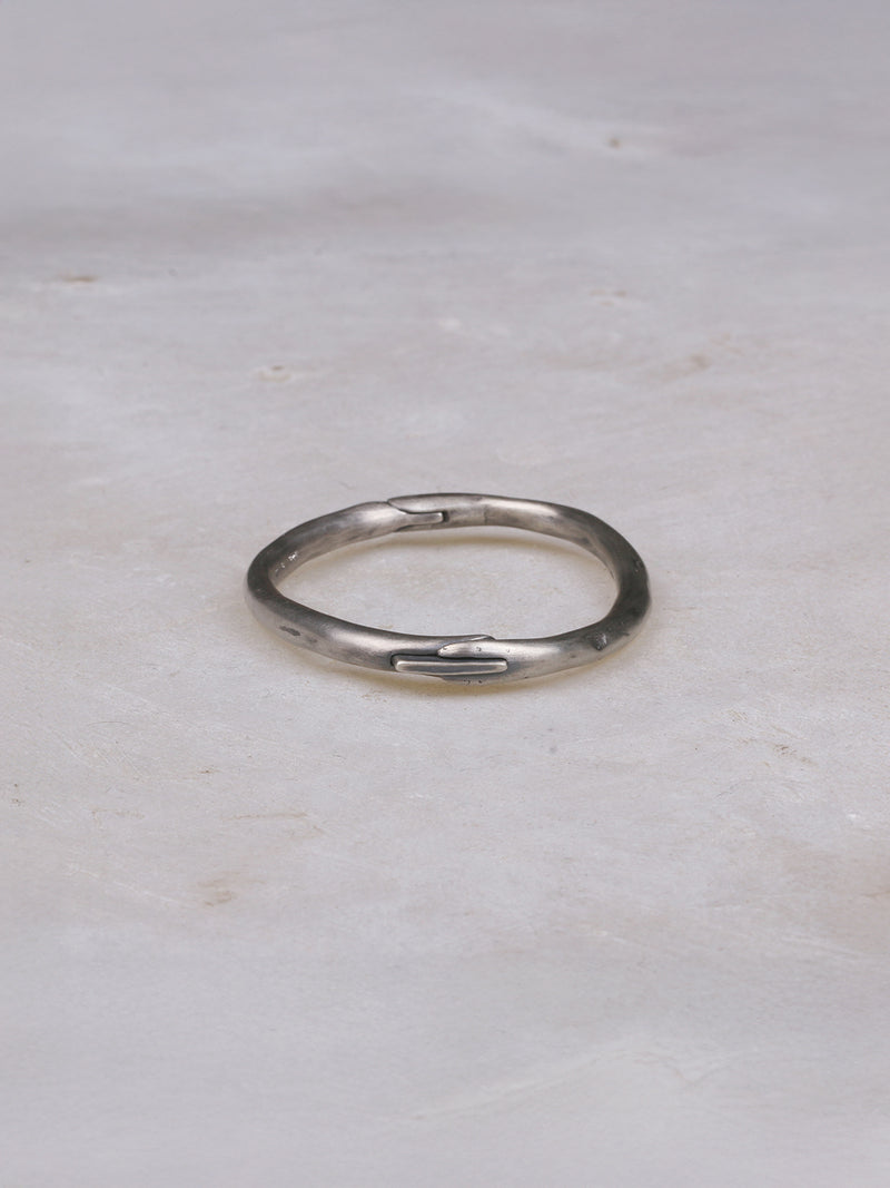 【New 】Pronoia（プロノイア） 4 Silver