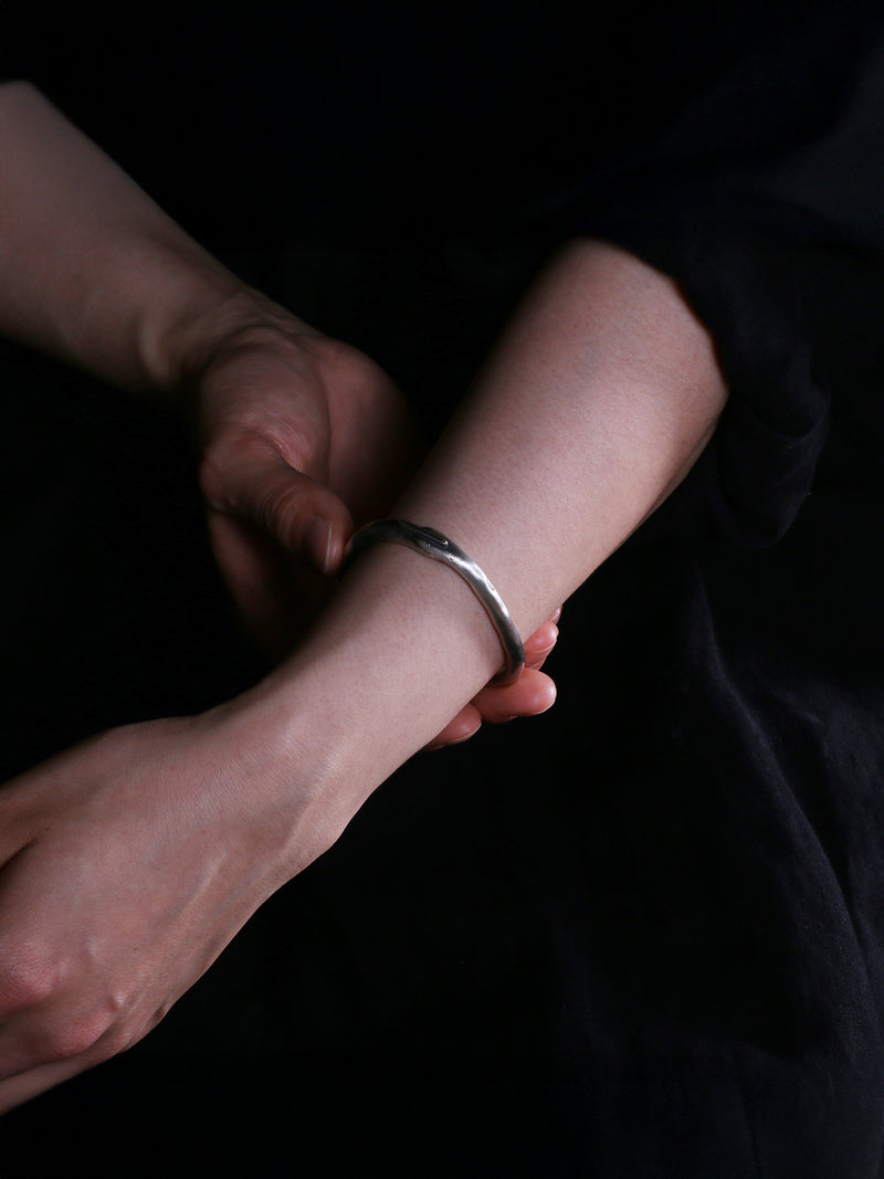 【New 】Pronoia（プロノイア） 4 Silver