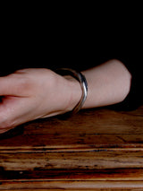 【New 】Pronoia（プロノイア） 4 Silver