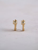 PIERCED EARRINGS pkd072