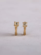 PIERCED EARRINGS pkd073