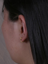 PIERCED EARRINGS pkd073