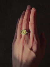 【期間限定販売】NEW Signet Ring Oval ~2026/6/21