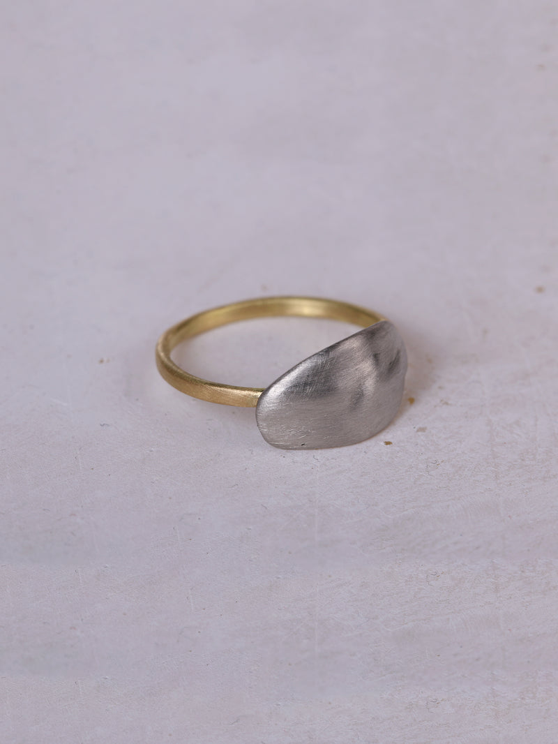 PLATE RING