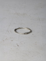 FruitRing SVver. rsd172frt