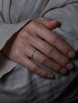 【NEW】FruitRing SVver. rsd172frt